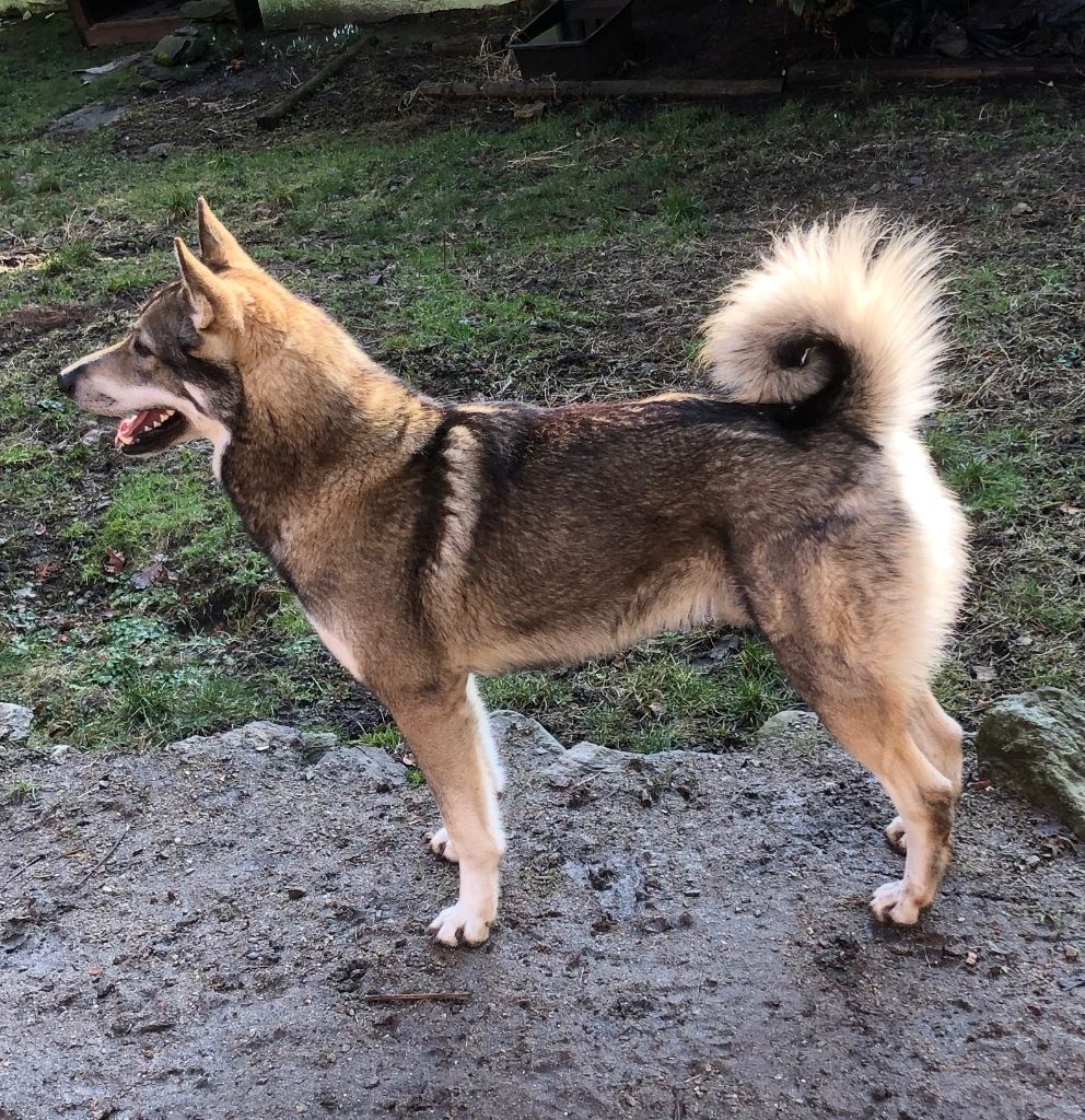 z malinoveho kere Argo